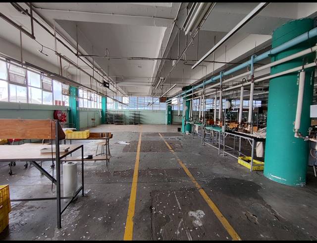 1,500M² FACTORY TO LET IN MAITLAND